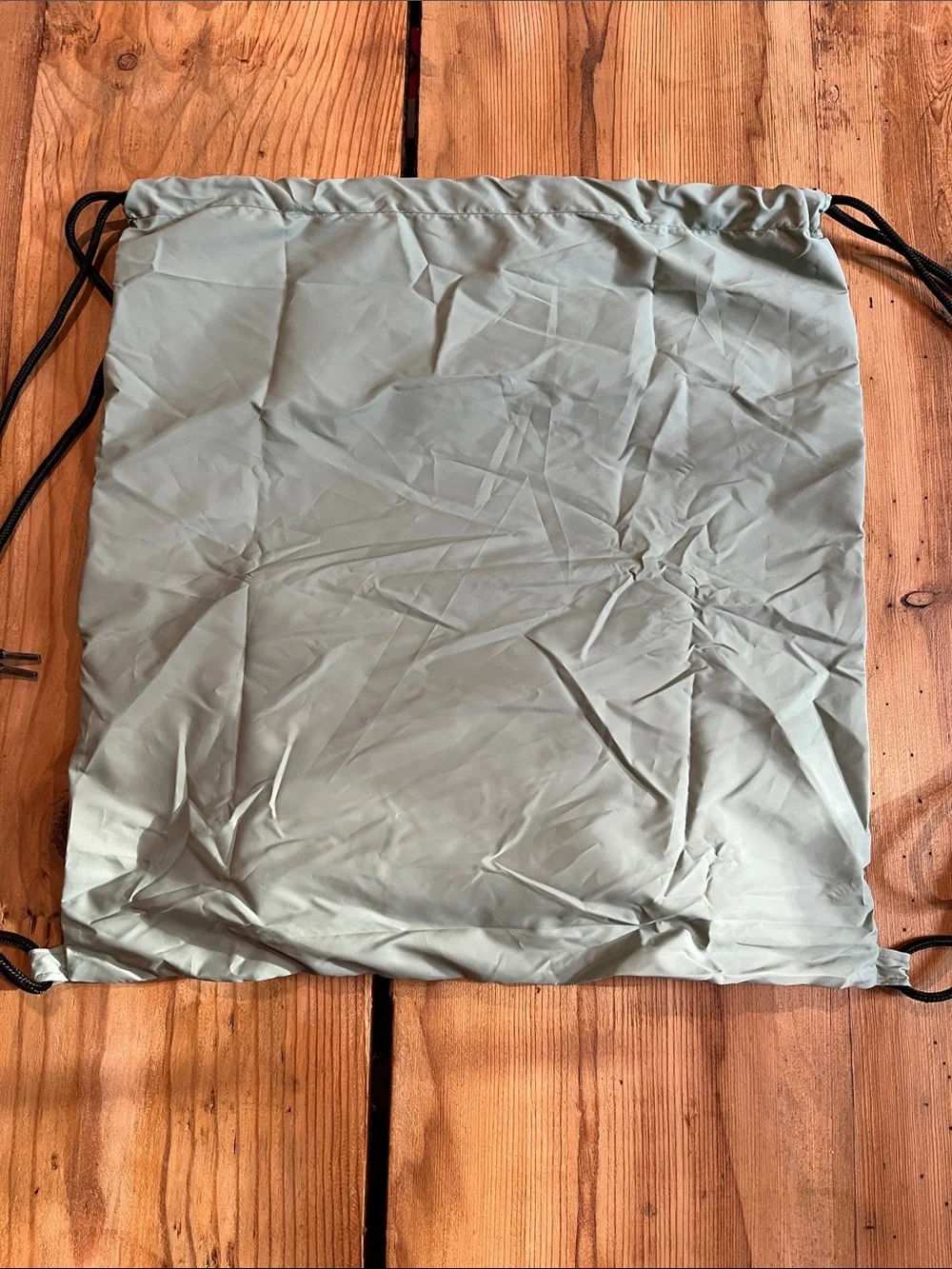 Drawstring Backpack with Front Zip Pocket - Light Sage and Black